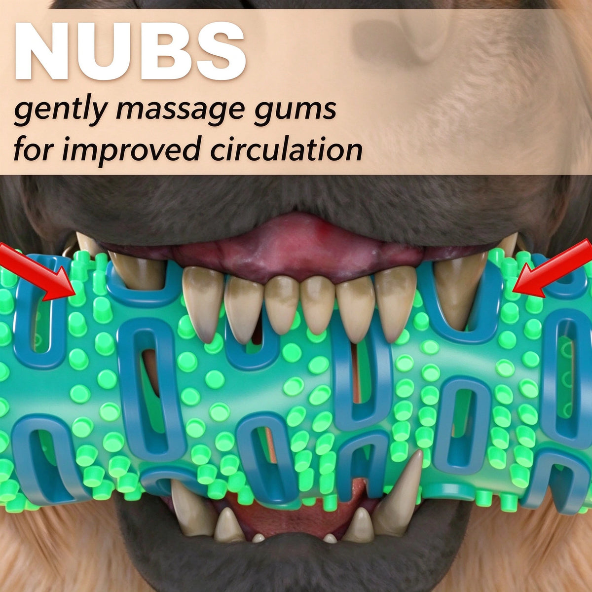 Dog Chew Toothbrush Stick — Bone-Shaped Dental Chew Toy