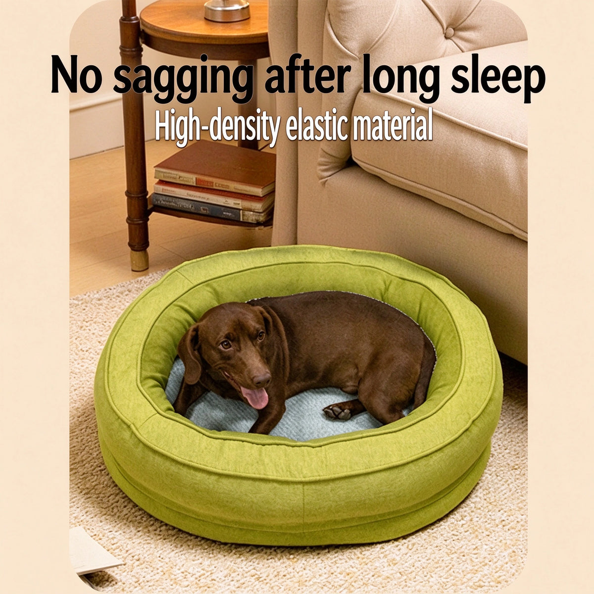 Chocolate brown dog resting in a green donut cuddler bed beside a sofa, high-density elastic material with no sagging