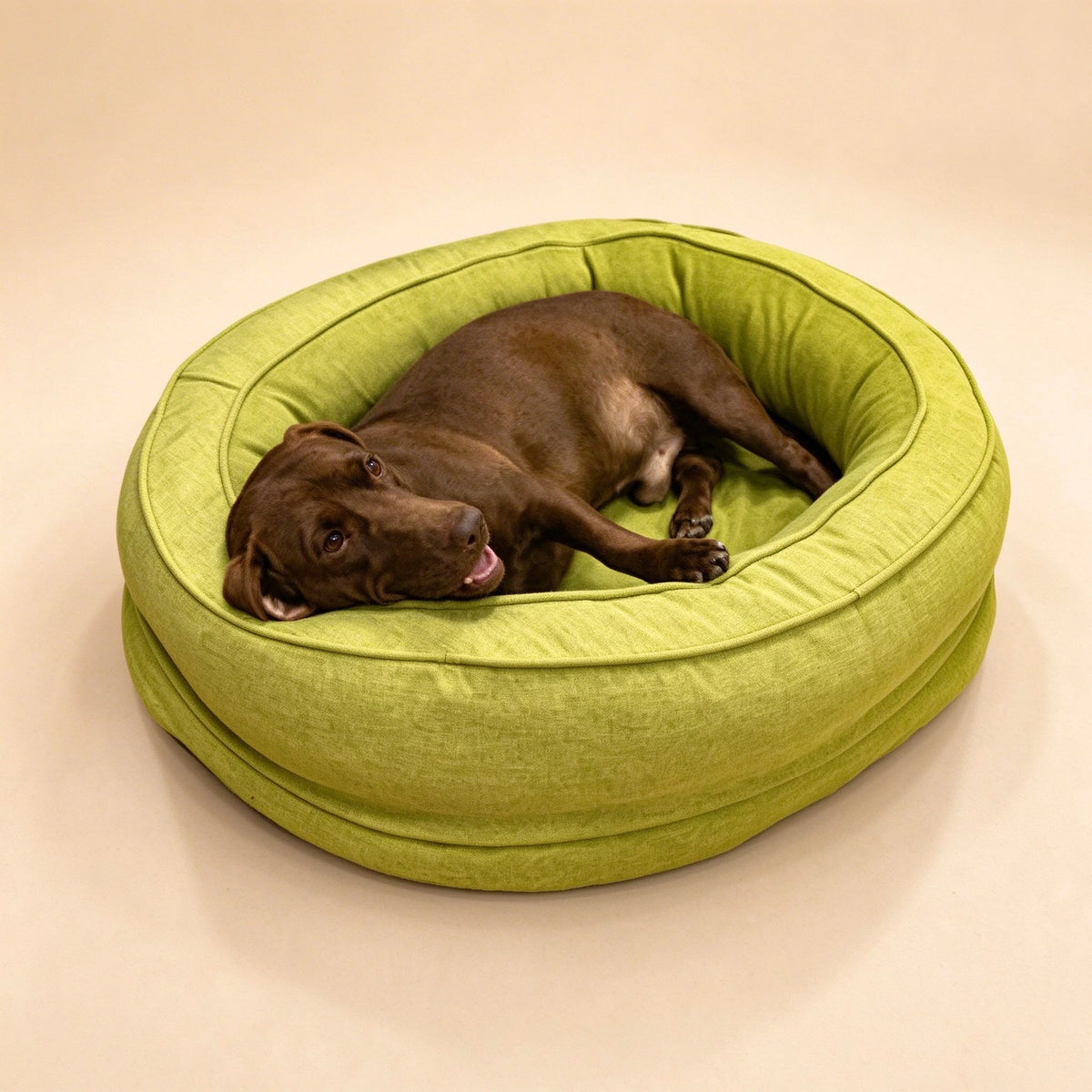 Top view of a chocolate brown dog curled up asleep in a green round donut pet bed