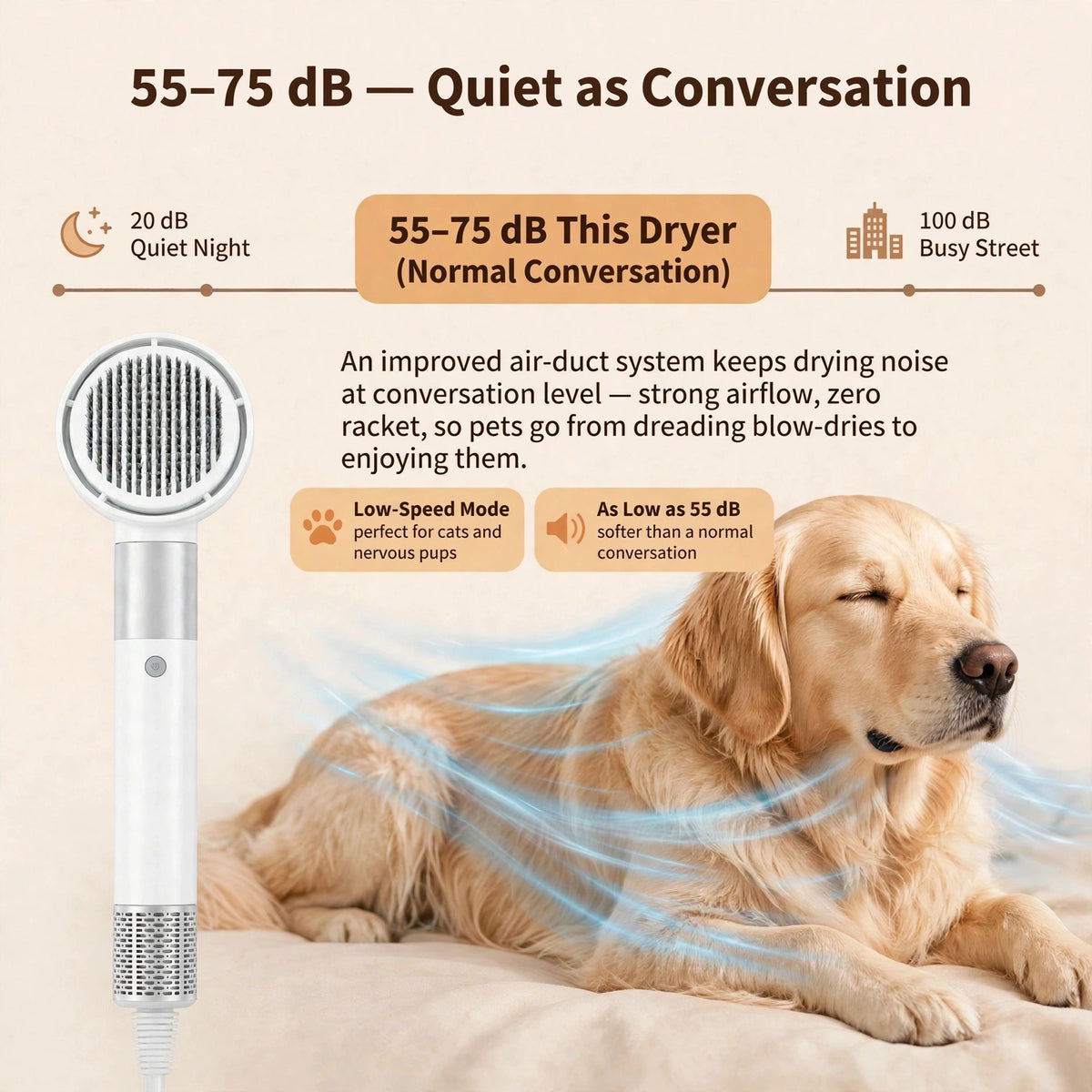 Infographic titled 55 to 75 dB Quiet as Conversation showing a golden retriever with airflow swirls beside the white dryer-brush, comparing its noise level to a normal conversation.